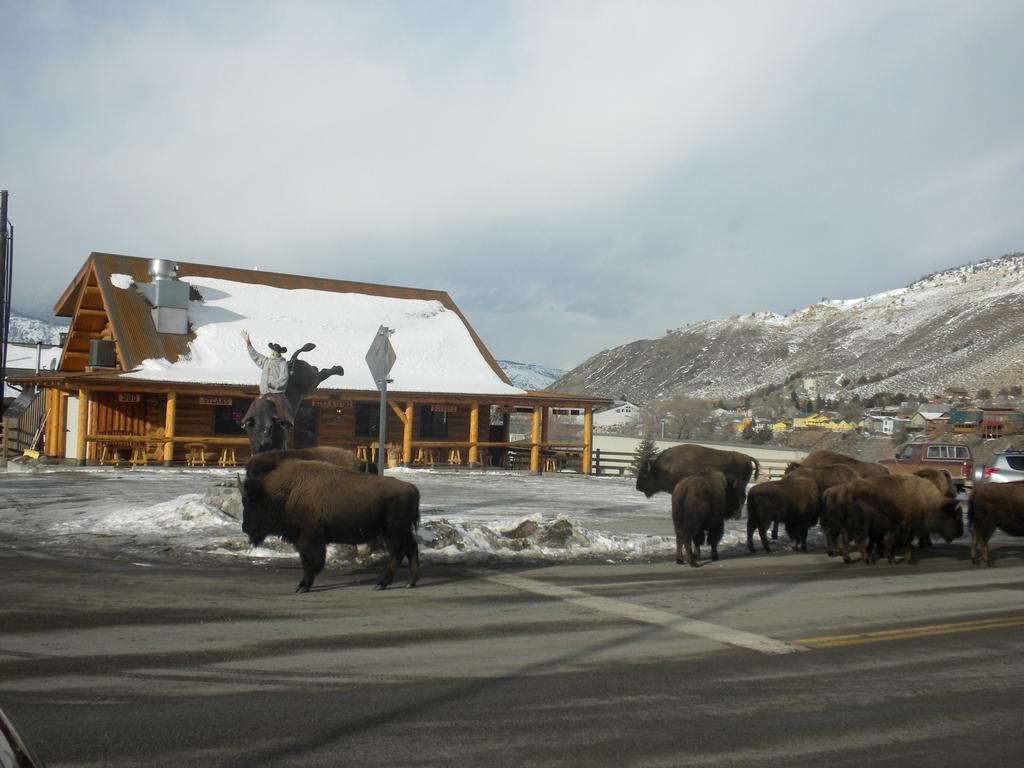 Cowboy'S Lodge Gardiner Luaran gambar